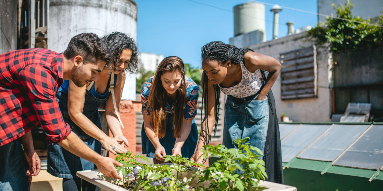 the-benefits-of-starting-a-community-garden